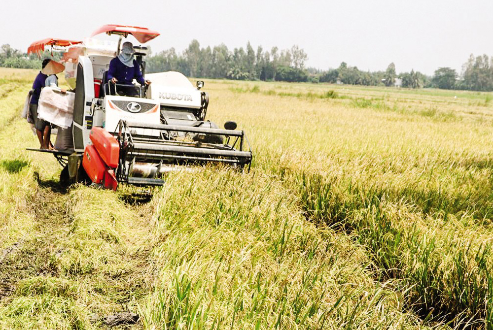 Công nghiệp phục vụ nông nghiệp ở ĐBSCL