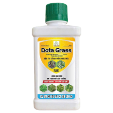 Dota Grass