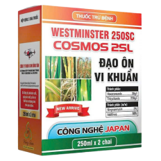 WESTMINSTER 250SC & COSMOS 2SL