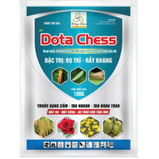 Dota Chess