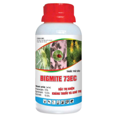BIGMITE 73EC