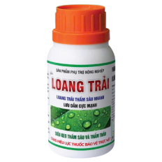 LOANG TRẢI