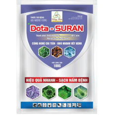 Dota - SURAN