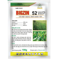 BIGZIN 52WP