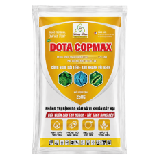 DOTA COPMAX