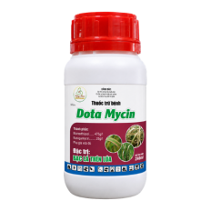 Dota Mycin