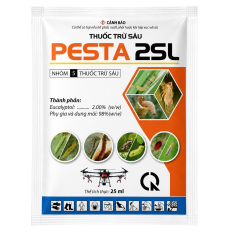 PESTA 2SL