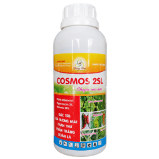 COSMOS 2SL