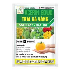 Trái cà vàng