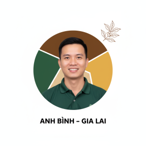 Anh Bình – Gia Lai