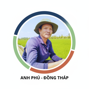 Anh Phú – Đồng Tháp