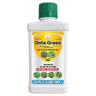 Dota Grass