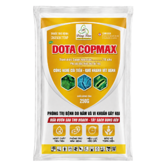 DOTA COPMAX