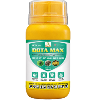 DOTA MAX