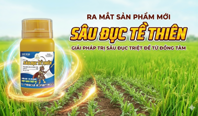 Ra Mắt Sản Phẩm Mới SÂU ĐỤC TỀ THIÊN – Giải Pháp Trị Sâu Đục Triệt Để Từ Đồng Tâm