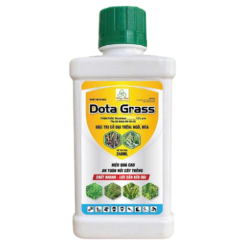 Dota Grass