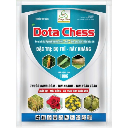 Dota Chess