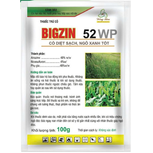 BIGZIN 52WP