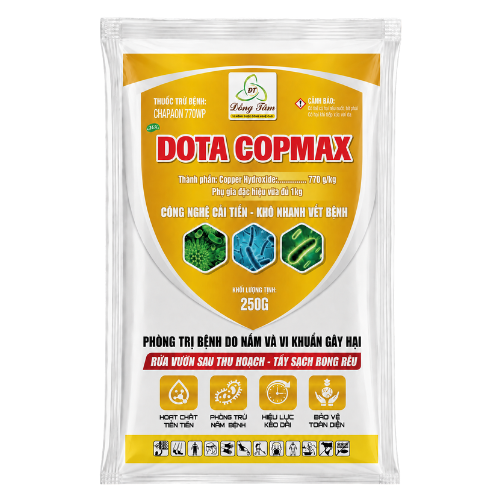 DOTA COPMAX