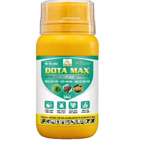 DOTA MAX