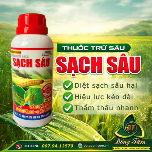 SẠCH SÂU