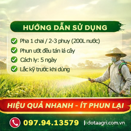 SẠCH SÂU