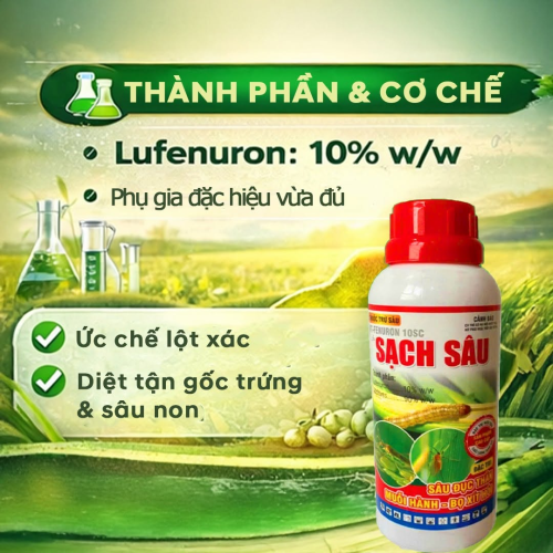 SẠCH SÂU