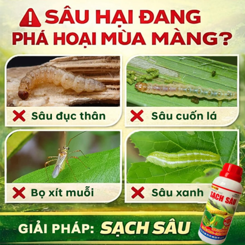 SẠCH SÂU