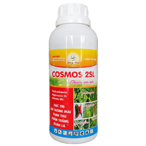COSMOS 2SL