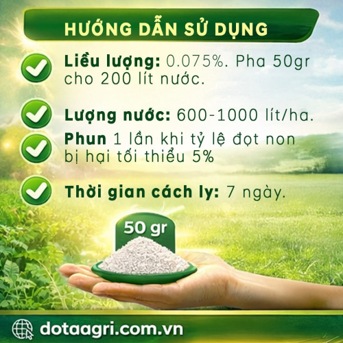 Trái cà vàng