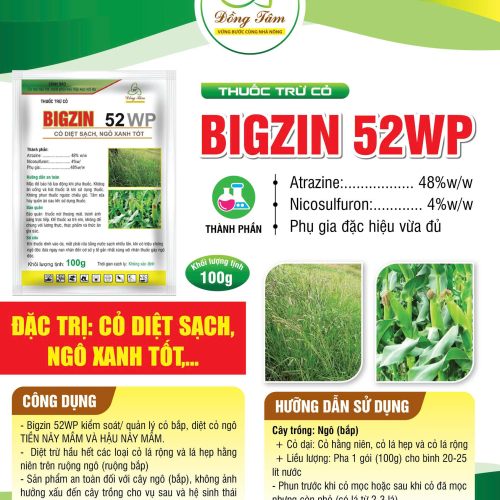 BIGZIN 52WP