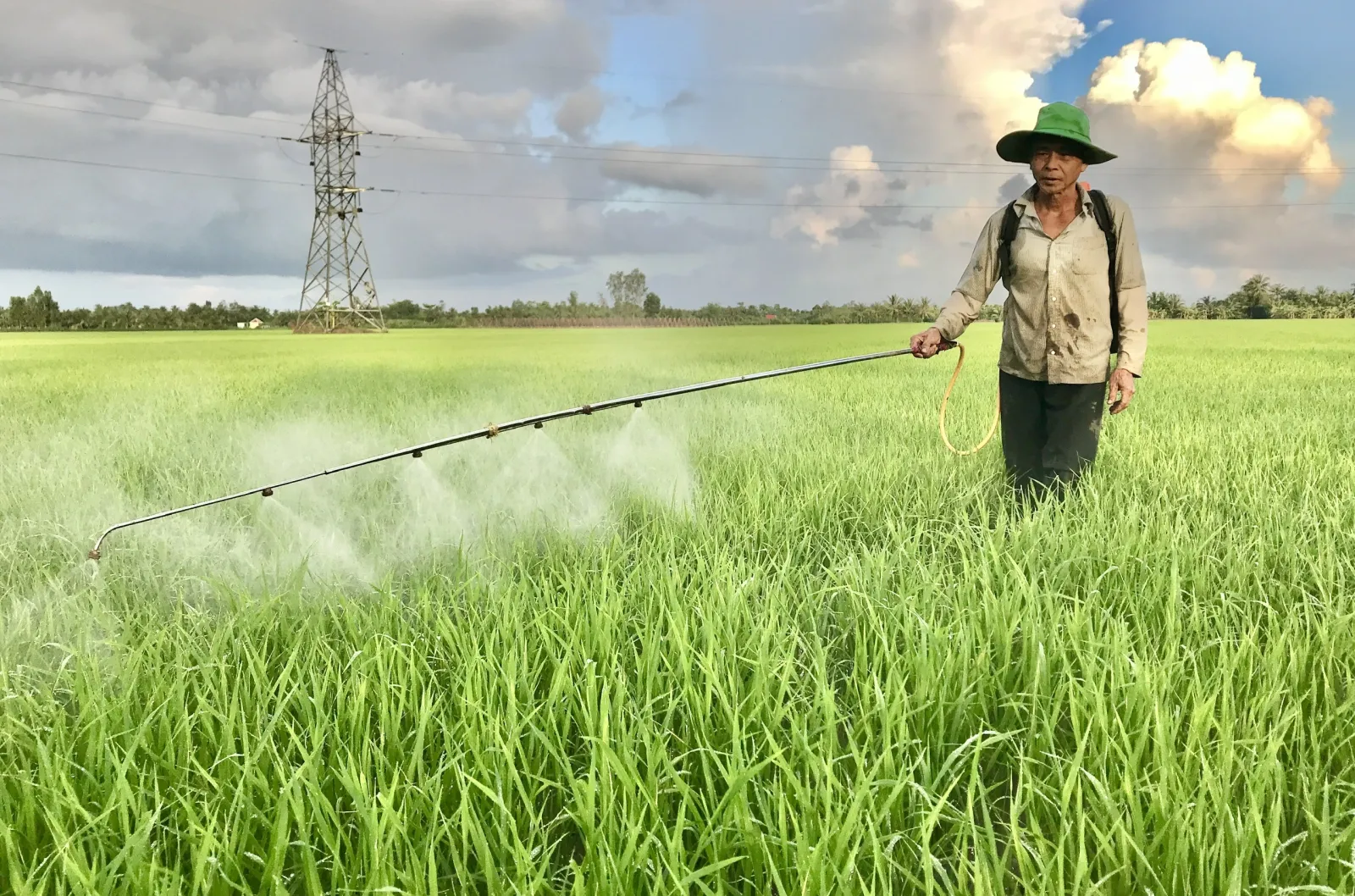 Kinh nghiệm diệt cỏ an toàn - Hóa Chất Nông Nghiệp Đồng Tâm