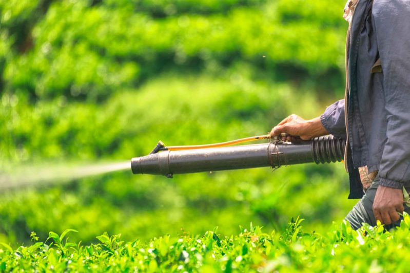 Ứng dụng thuốc bảo vệ thực vật sinh học Đồng Tâm trong nông nghiệp bền vững